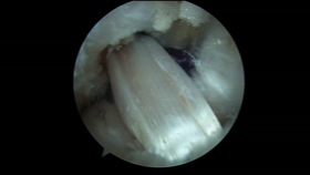 Dujardin Jan Dokter m m Orthopedie Knie Heup specialist prothese